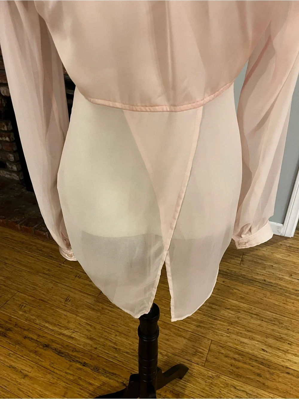 Free People Pink Sheer Button-Down Blouse